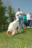 NAMIWalk07 (216) 